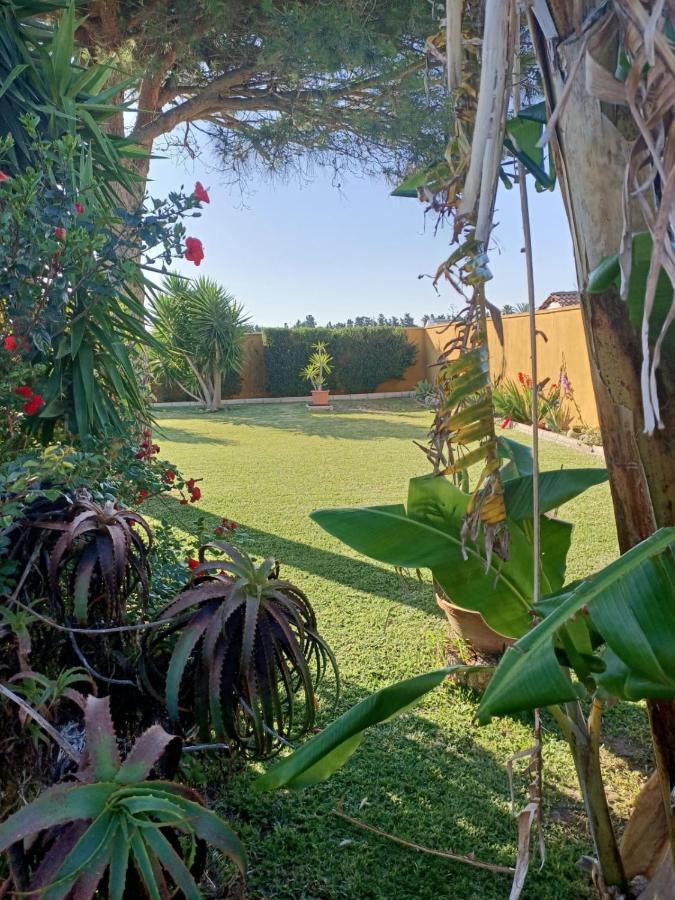 Casa Manoli Βίλα El Palmar  Εξωτερικό φωτογραφία